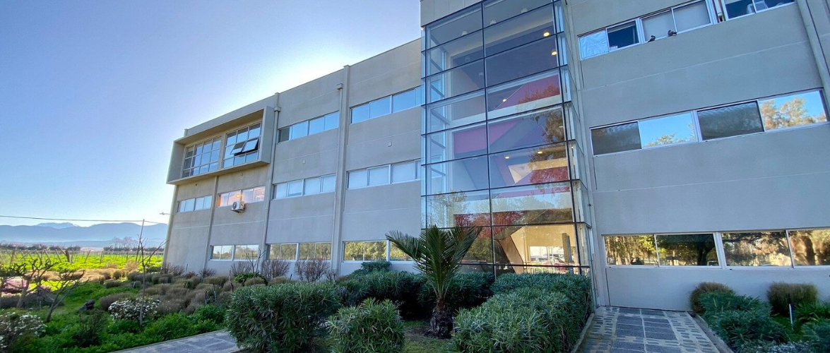 Escuela de Agronomía PUCV fortalece su investigación con proyectos Fondecyt 2026