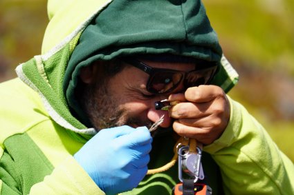 Profesor Gastón Carvallo participó de expedición subantártica para el estudio del cambio climático en ambientes australes