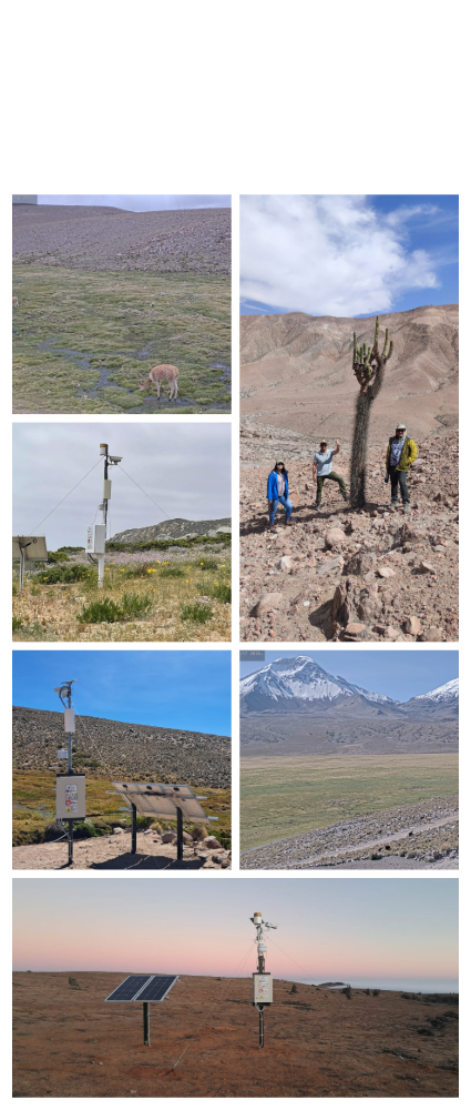 PhenChile: Sistema de Monitoreo Fenológico Nacional