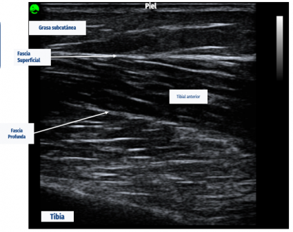 Estudiante del Magíster en Ciencias Biológicas realizó su Defensa Pública de Tesis.