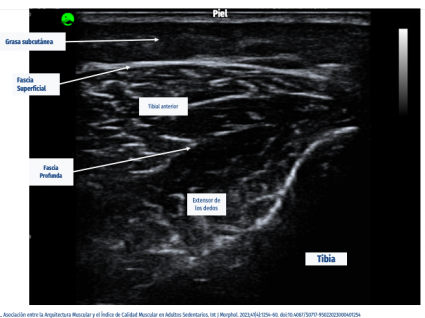 Estudiante del Magíster en Ciencias Biológicas realizó su Defensa Pública de Tesis.